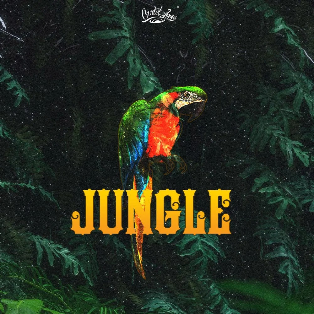 Jungle